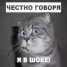  WMmail.ru #2552736 Siayr