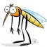 Пользователь WMmail.ru #2266910 mosquito